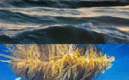 എൽ -നിനോ ഭീഷണിയിൽ മൺസൂൺ- ചൂട് കൂടാൻ സാധ്യത;കാല വർഷവും വൈകുമെന്ന് സൂചന