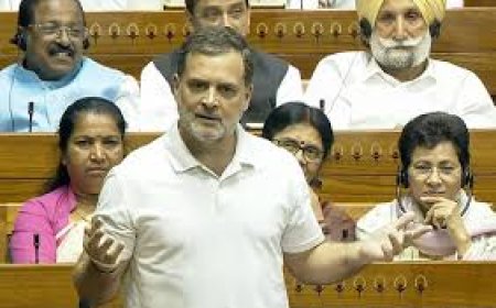 പ്രധാനമന്ത്രിക്കും എനിക്കും ആ ഭാര്യാ ഘടകം ഇല്ല, സഭയിൽ നർമ്മമുഹൂർത്തം നൽകി രാഹുൽ ഗാന്ധി