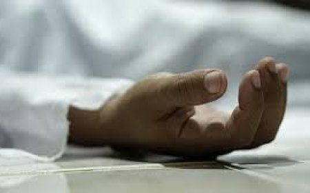 തൃശൂർ കോടാലിയിൽ പാമ്പു കടിയേറ്റ് എട്ടുവയുകാരൻ മരിച്ചു