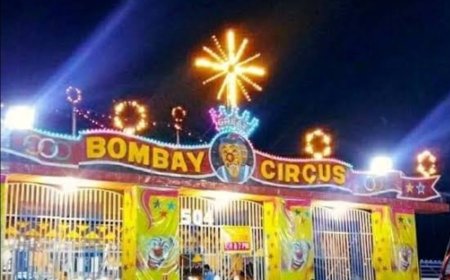 ഗ്രേറ്റ് ബോംബെ സർക്കസ്സ് പാലക്കാട് സ്റ്റേഡിയം ബസ് സ്റ്റാൻഡിന് സമീപം പ്രദർശനം തുടരുന്നു