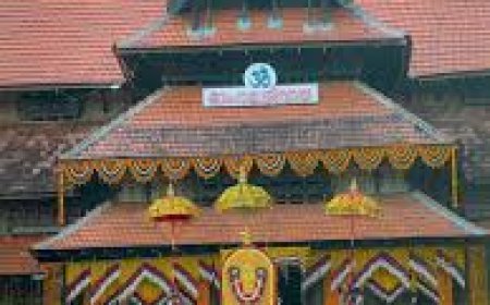 വെടിക്കെട്ട് ഒഴിവാക്കി തൃശ്ശൂർ പൂരം പ്രൗഢമായി നടന്നു