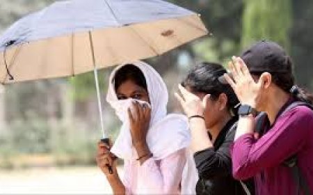 2050 ആകുമ്പോഴേക്കും അപകടകരമായ ചൂടിന് വിധേയമാകുന്ന നഗര ദരിദ്രരുടെ എണ്ണം 700ശതമാനം വർദ്ധിക്കുമെന്ന് പഠനം