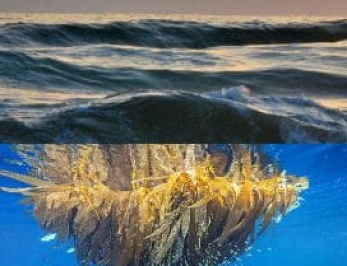 എൽ -നിനോ ഭീഷണിയിൽ മൺസൂൺ- ചൂട് കൂടാൻ സാധ്യത;കാല വർഷവും വൈകുമെന്ന് സൂചന