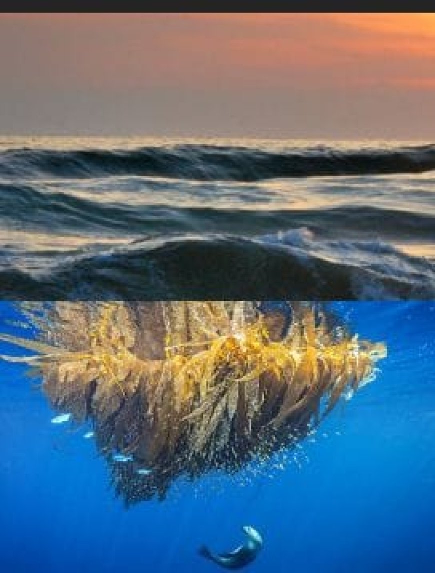 എൽ -നിനോ ഭീഷണിയിൽ മൺസൂൺ- ചൂട് കൂടാൻ സാധ്യത;കാല വർഷവും വൈകുമെന്ന് സൂചന