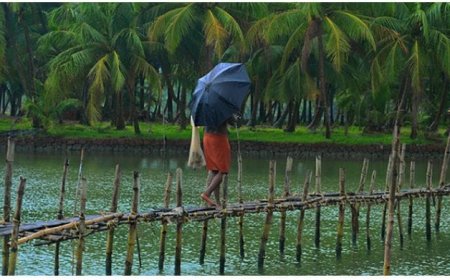 കേരളത്തിൽ മഴ ശക്തമാകുന്നു. എല്ലാ ജില്ലകളിലും ഇടിമിന്നലിനും കാറ്റിനും ബാധ്യത