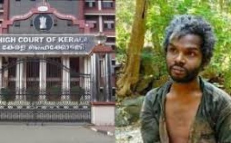 അട്ടപ്പാടി മധു ആൾക്കൂട്ട കൊലപാതകക്കേസിൽ 12 പ്രതികളുടെ ശിക്ഷ ഹൈക്കോടതി വർധിപ്പിച്ചു