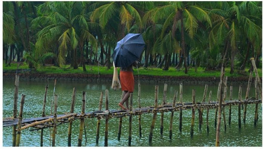 കേരളത്തിൽ മഴ ശക്തമാകുന്നു. എല്ലാ ജില്ലകളിലും ഇടിമിന്നലിനും കാറ്റിനും ബാധ്യത