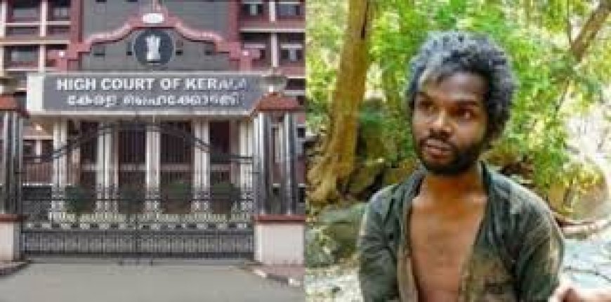 അട്ടപ്പാടി മധു ആൾക്കൂട്ട കൊലപാതകക്കേസിൽ 12 പ്രതികളുടെ ശിക്ഷ ഹൈക്കോടതി വർധിപ്പിച്ചു