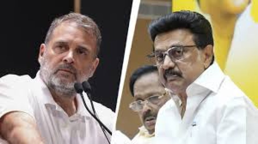 ന്യൂഡൽഹിയിൽ നടക്കാനിരിക്കുന്ന ഇന്ത്യാ സഖ്യത്തിന്റെ യോഗത്തിൽ നിന്ന് വിട്ടുനിൽക്കുമെന്ന് ഡിഎംകെ