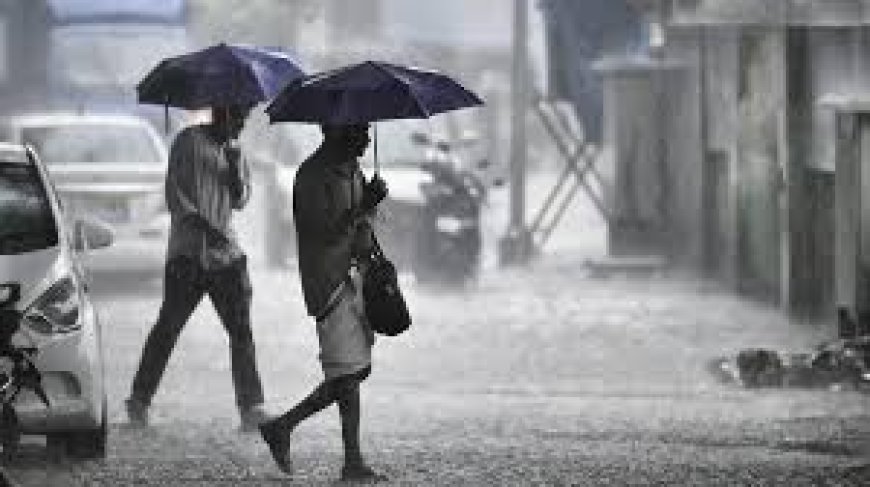 കേരളത്തിൽ ഇന്നും ശക്തമായ മഴ തുടരുമെന്ന് കേന്ദ്ര കാലാവസ്ഥ വകുപ്പ്