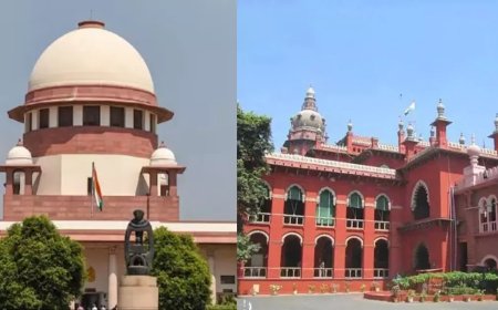 സമ്പൂർണ ഗോവധ നിരോധനം ഏർപ്പെടുത്തിയ മദ്രാസ് ഹൈക്കോടതി ഉത്തരവിനെതിരെ തമിഴ്‌നാട് സർക്കാർ സുപ്രീം കോടതിയിൽ