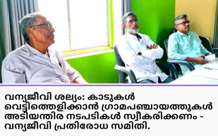 വന്യജീവി ശല്യം: കാടുകൾ വെട്ടിത്തെളിക്കാൻ ഗ്രാമ പഞ്ചായത്തുകൾ അടിയന്തിര നടപടികൾ സ്വീകരിക്കണം